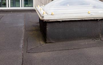 disadvantages of West Parley flat roofs