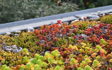 the cost of West Parley green roof installation