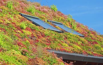 West Parley living roof systems