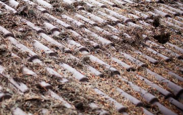 West Parley roof cleaning companies