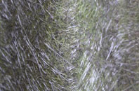 West Parley fibreglass roof work